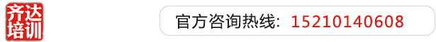 插老肥骚逼免费视频齐达艺考文化课-艺术生文化课,艺术类文化课,艺考生文化课logo